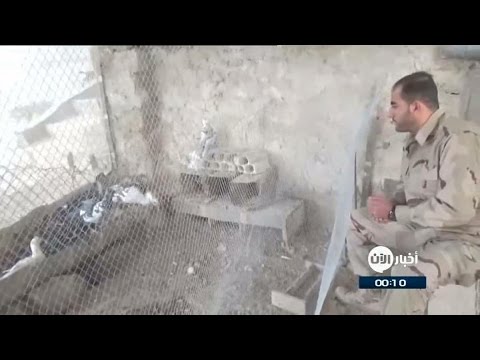 بالفيديو رسالة مقاتل في الجيش الحر