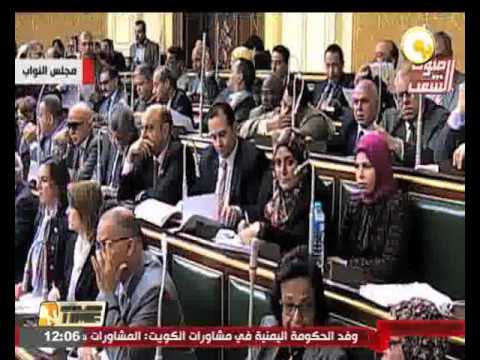 تشكيل اللجان النوعية للبرلمان المصري