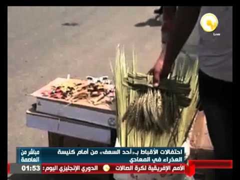 احتفالات الأقباط بـ أحد السعف