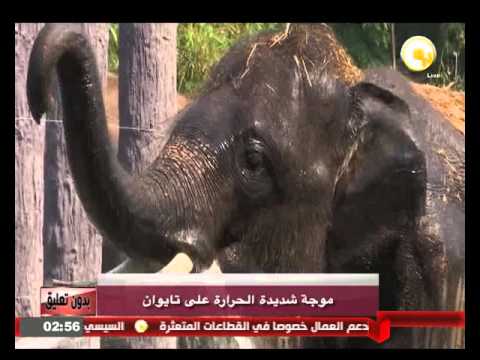 موجة شديدة الحرارة على تايوان