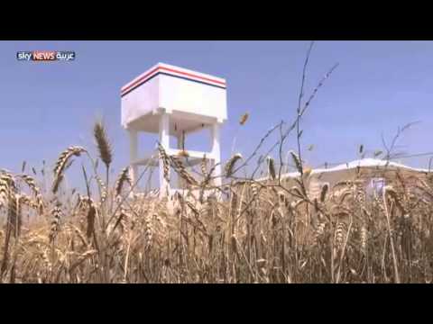بالفيديومشاريع جديدة لمساعدة المزارعين في غزة