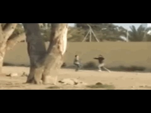بالفيديو شجار عنيف بين مخمورين مغربيين في منطقة مليلية