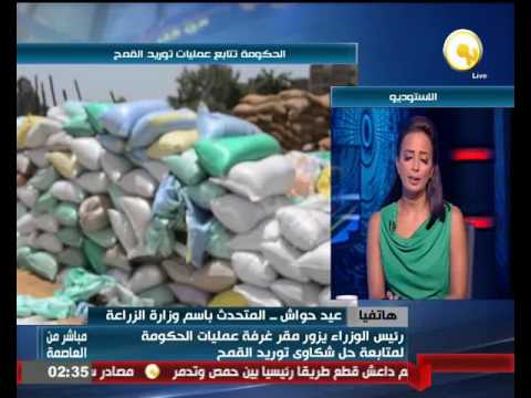 شاهد عمليات توريد القمح شهدت سيولة كبيرة