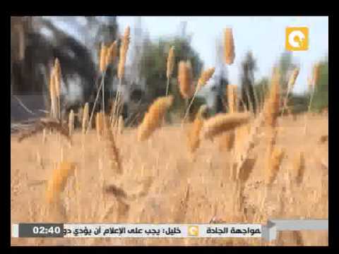 بالفيديو  وزارة الزراعة تعلن بدء حالة طوارئ