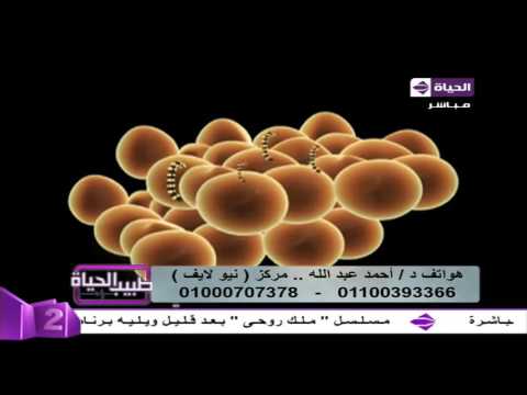 بالفيديو تأثير السمنة وزيادة الوزن على مرض السكر