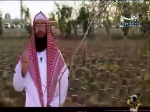 مراحل ما بعد الموت