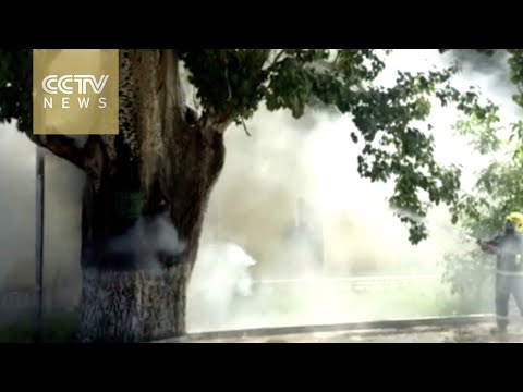 لحظات إنقاذ شجرة صينية تبلغ 100 عام