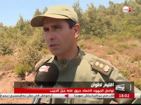 بالفيديو فرق الإطفاء تسابق الزمن لإخماد حريق غابة جبل الحبيب