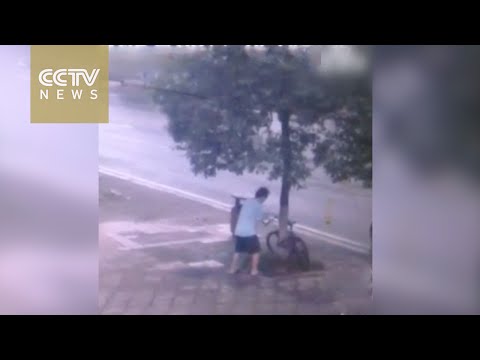 شاهد لص يقطع شجرة ليسرق دراجة