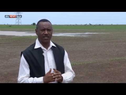 شاهد الألغام التي خلَّفتها الصراعات كابوس يهدِّد شرق السودان