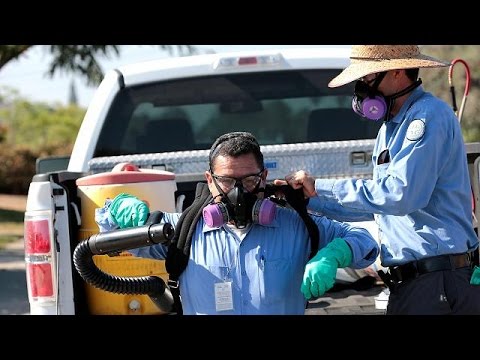 إصابة 5 أشخاص جدد بفيروس زيكا في ميامي بيتش