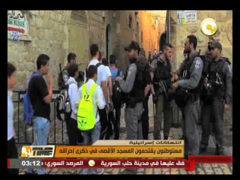 شاهد مستوطنون إسرائيليون يقتحمون المسجد الأقصى