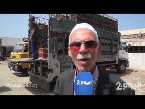 ارتفاع أسعار الدواجن في المغرب