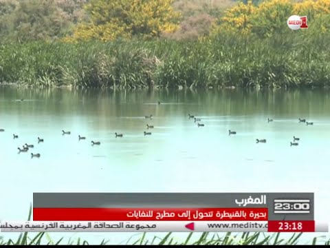 النفايات الصلبة تخلق مشكلة بيئية في مرجة القنيطرة