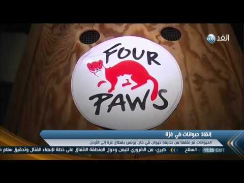 نقل حيوانات من حديقة في قطاع غزة لإنقاذها من الموت جوعًا