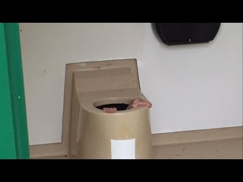 نرويجي ينزل في بالوعة مرحاض عام لانتشال هاتف صديقه