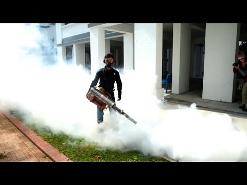 شاهد ماذا تفعل سنغافورة للحد من انتشار زيكا