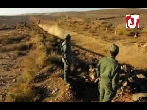 توقيف 4 أشخاص من البوليساريو على الحدود وحجز 500 كلغ من الحشيش