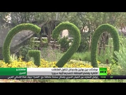 محادثات بين بوتين وأردوغان على هامش قمة العشرين