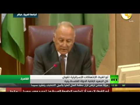 أحمد أبو الغيط يؤكد أن إسرائيل تهدم فكرة حل الدولتين