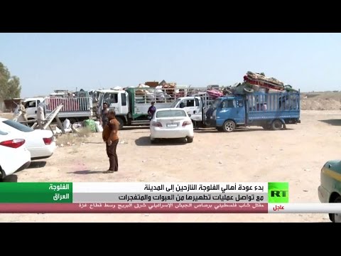 بدء عودة نازحي الفلوجة إلى مدينتهم