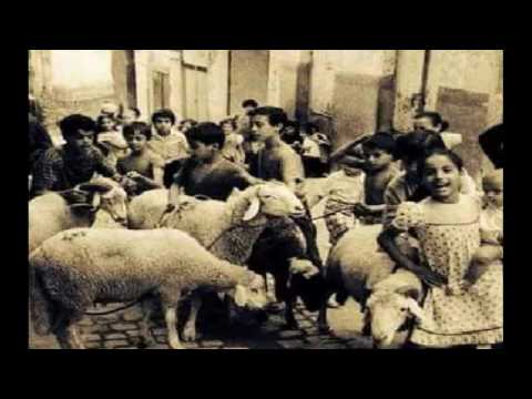 مظاهر الاحتفالات في عيد الأضحي في مصر
