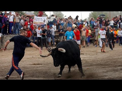 مظاهرات حاشدة في مدريد للمطالبة بحظر مصارعة الثيران
