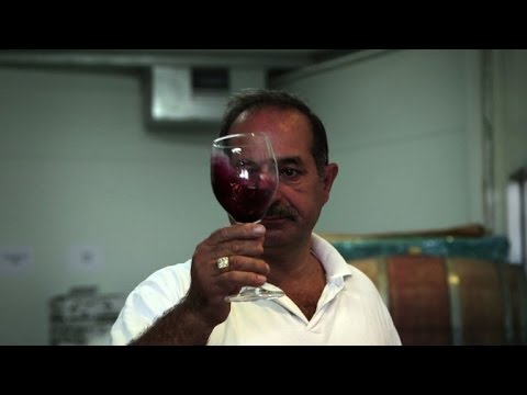 عائلة فلسطينية تحلم بوضع فلسطين على خارطة النبيذ العالمي