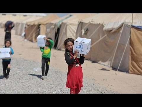 الأمم المتحدة تستعد لاستئناف قوافل المساعدات إلى سورية