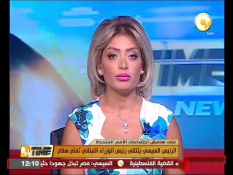 الرئيس  عبدالفتاح السيسي يلتقي رئيس الوزراء اللبناني تمام سلام