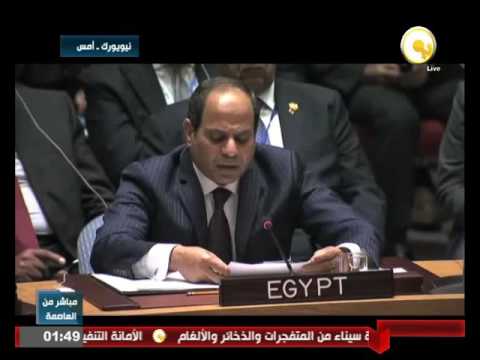 جانب من كلمة الرئيس السيسي خلال جلسة مجلس الأمن الأربعاء