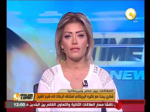 شكري يبحث مع نظيره البريطاني استئناف الرحلات إلى شرم الشيخ