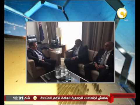 سامح شكري يلتقي وزير خارجية نيوزيلندا والرئيس الحالي لمجلس الأمن