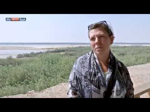محمية الوثبة ملاذ آمن لطائر الفلامنغو