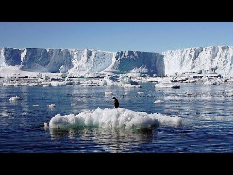 إقامة أكبر محمية بحرية عذارء في العالم جنوب الكوكب