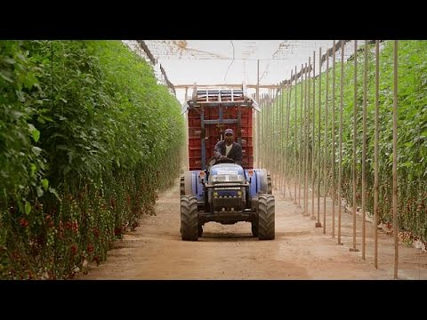 مبادرة تكيف الزراعة في أفريقيا مع التغيرات المناخية
