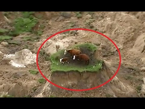 زلزال نيوزلندا يقسم حقلًا لنصفين