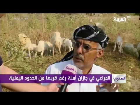 المراعي في جازان آمنة
