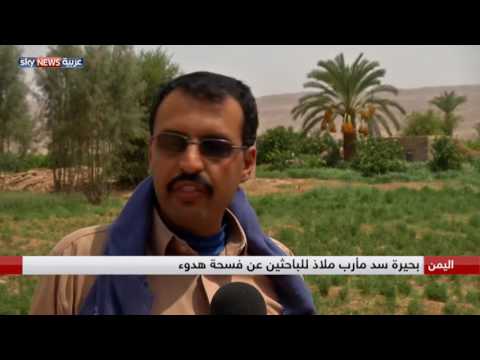 شاهد بحيرة سد مأرب ملاذ للباحثين عن فسحة هدوء