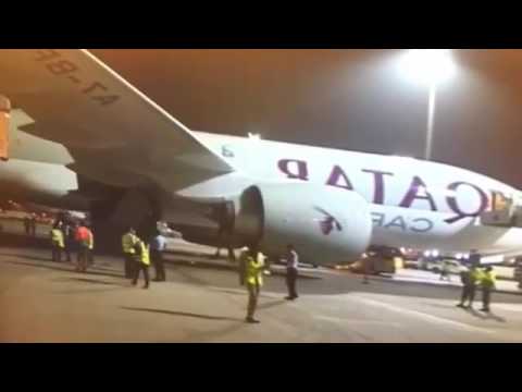 شاهد استقبال شعبي لأول دفعة أبقار في قطر