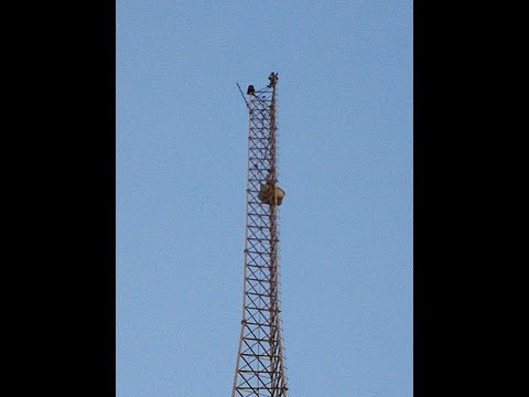 شاب يكشف أسباب محاولته القفز من أعلى برج اتصالات