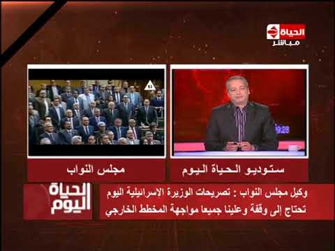 شاهد وكيل مجلس النواب يعلن أن تصريحات الوزيرة الإسرائيلية تحتاج إلى وقفة