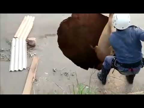 لحظة إنقاذ حصان سقط في انهيار أرضي عميق