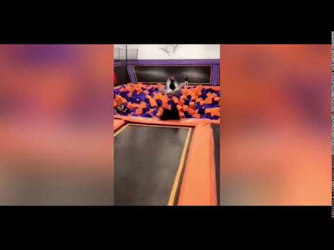 شاهد إحراج لاعبة أكروبات بعدما سقط شعرها المستعار