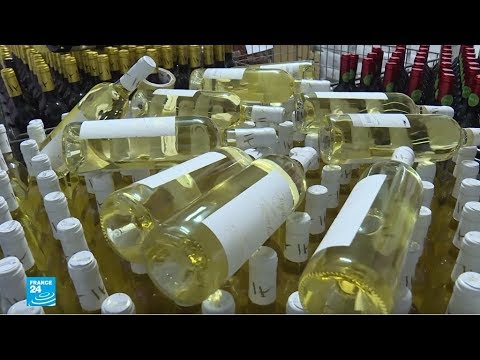 فرنسي يحوِّل مزرعة للزيتون وزيت الأركان إلى النبيذ العضوي