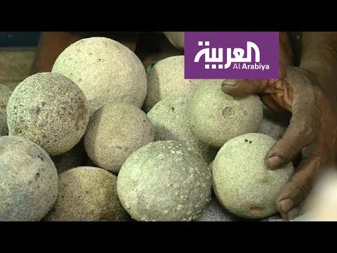 التفاح الخشبي أشهر فاكهة سيريلانكية