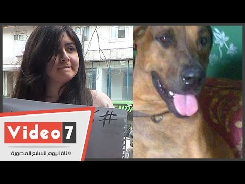 وقفة احتجاجية ضد ذبح كلب شارع الأهرام
