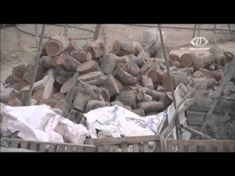 بالفيديو مدارس بلدة اللقية تغلق أبوابها احتجاجًا على العنصرية