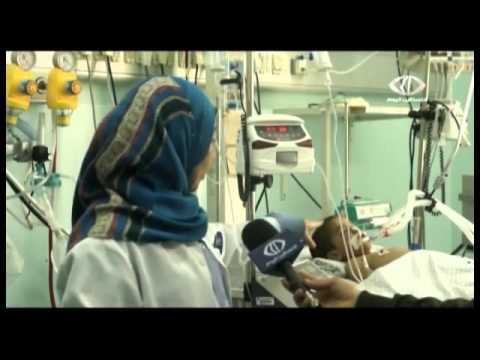 شاهد الحمى الشوكية تغزو الصيامات شمال رفح