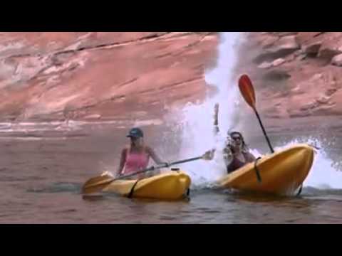 أتوبيس طائر أحدث أدوات الاستمتاع بالبحر